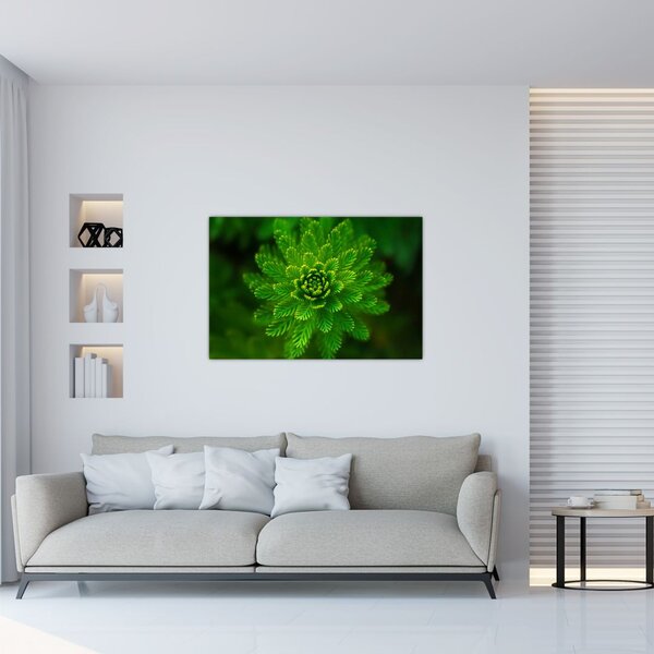 Slika četinjača (90x60 cm)
