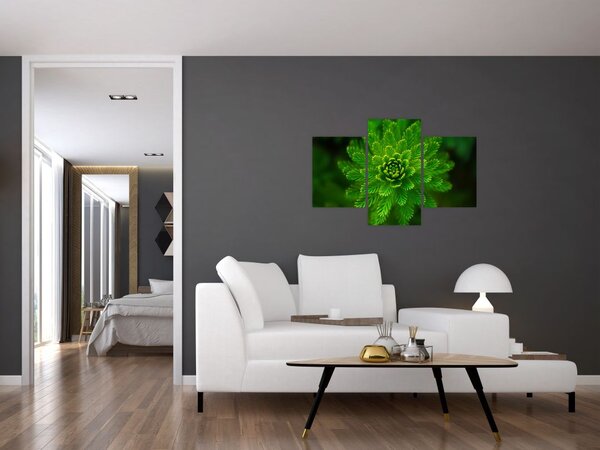 Slika četinjača (90x60 cm)