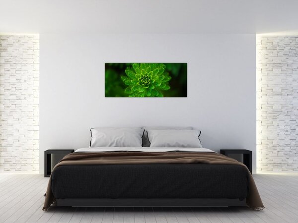 Slika četinjača (120x50 cm)
