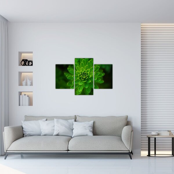 Slika četinjača (90x60 cm)