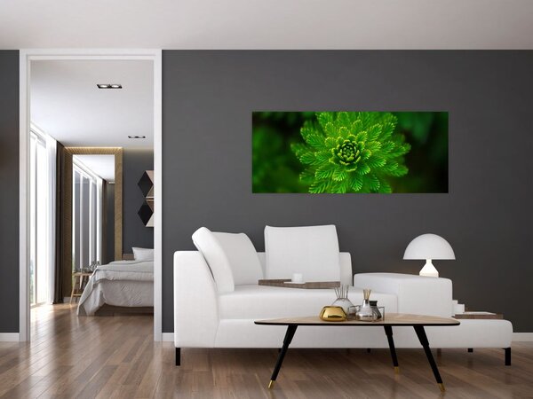 Slika četinjača (120x50 cm)