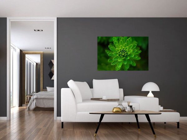 Slika četinjača (90x60 cm)
