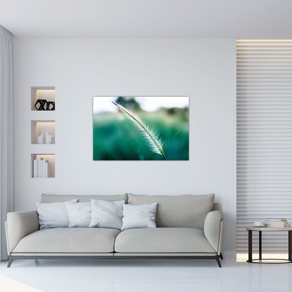 Slika vlati trave (90x60 cm)