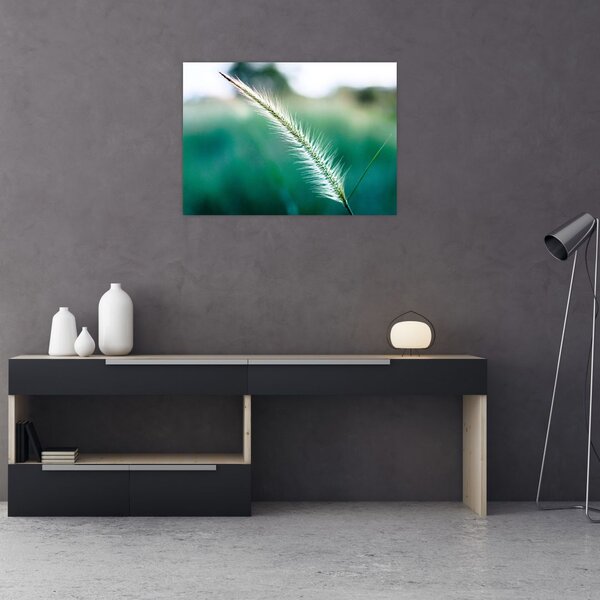 Slika vlati trave (70x50 cm)