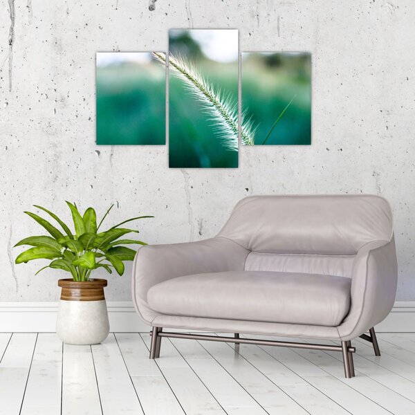 Slika vlati trave (90x60 cm)