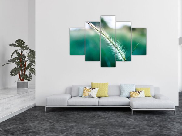 Slika vlati trave (150x105 cm)