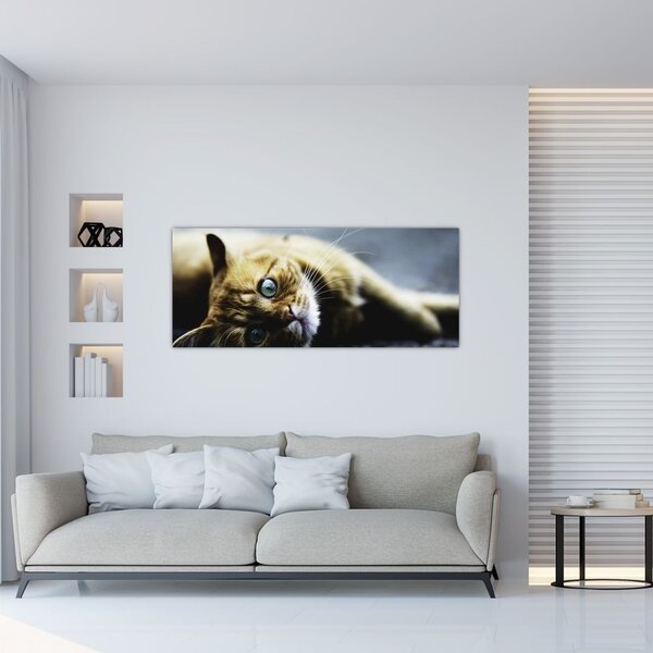 Slika mačke (120x50 cm)