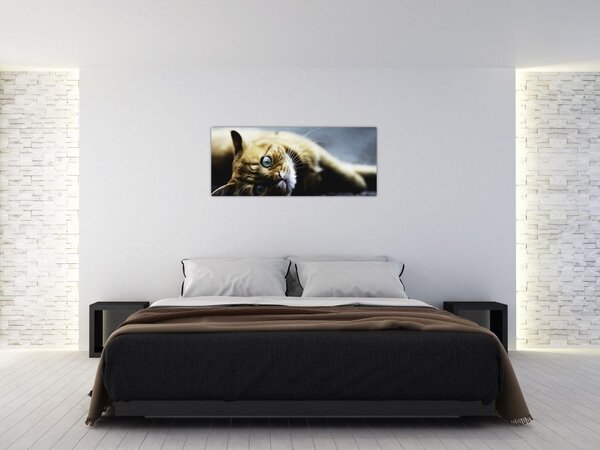 Slika mačke (120x50 cm)