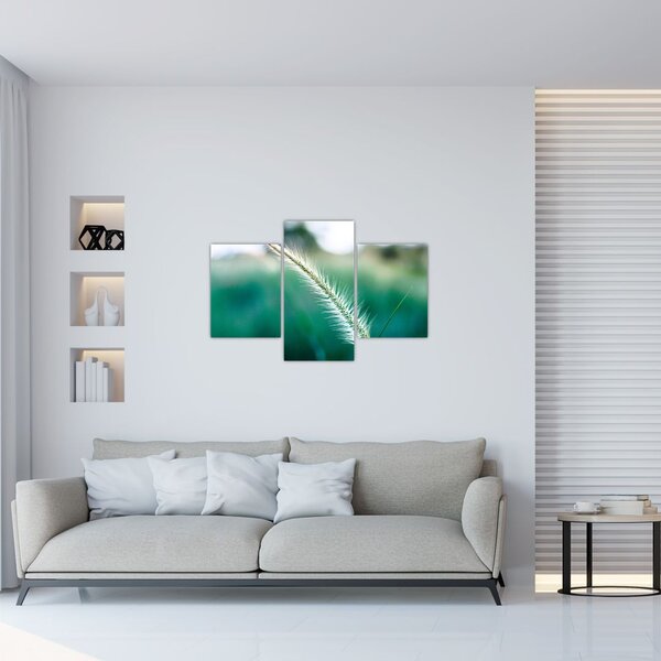 Slika vlati trave (90x60 cm)