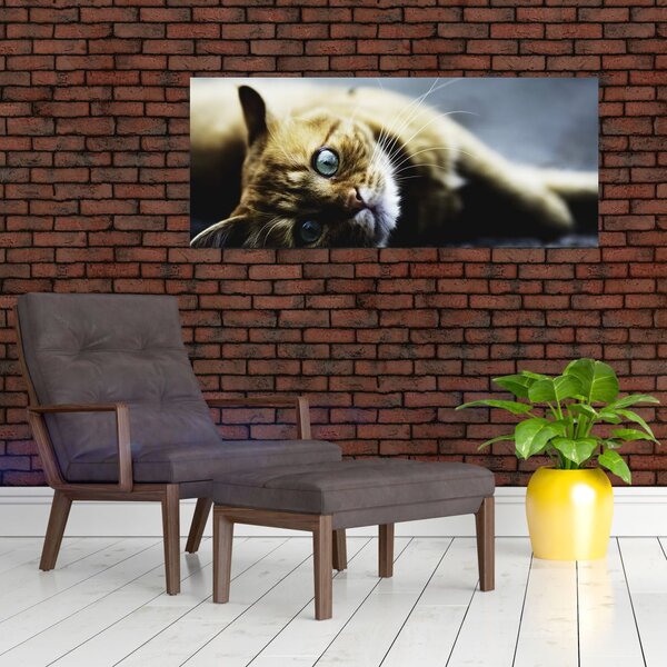 Slika mačke (120x50 cm)