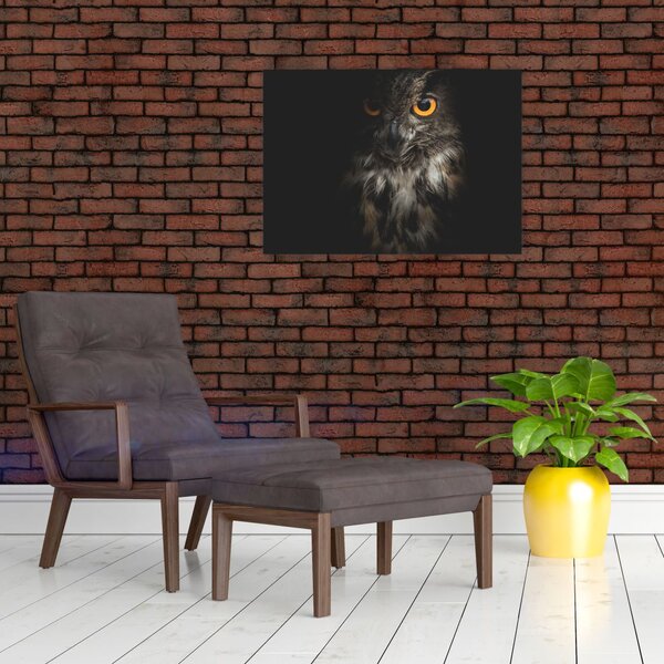 Slika sove (70x50 cm)