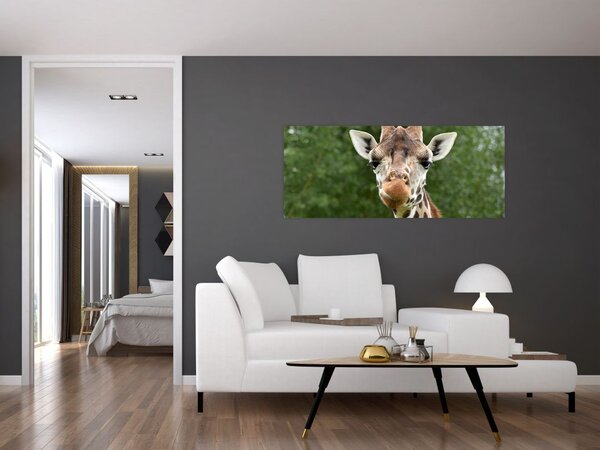 Slika žirafe (120x50 cm)