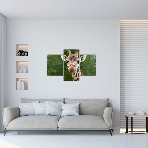 Slika žirafe (90x60 cm)