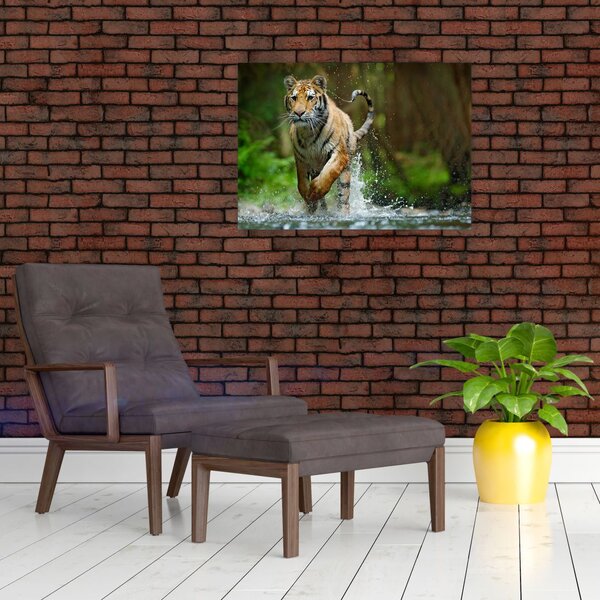 Slika tigra koji trči (70x50 cm)