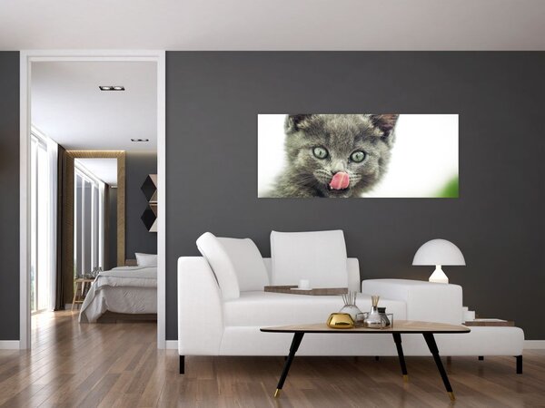Slika mačića koji se liže (120x50 cm)