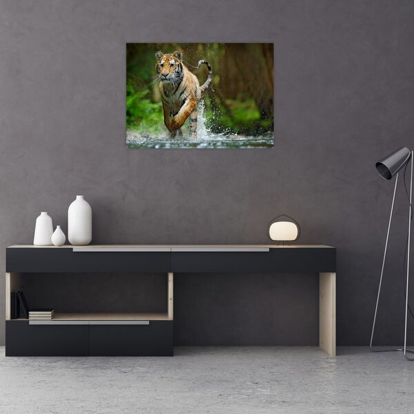 Slika tigra koji trči (70x50 cm)