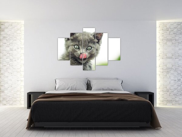 Slika mačića koji se liže (150x105 cm)