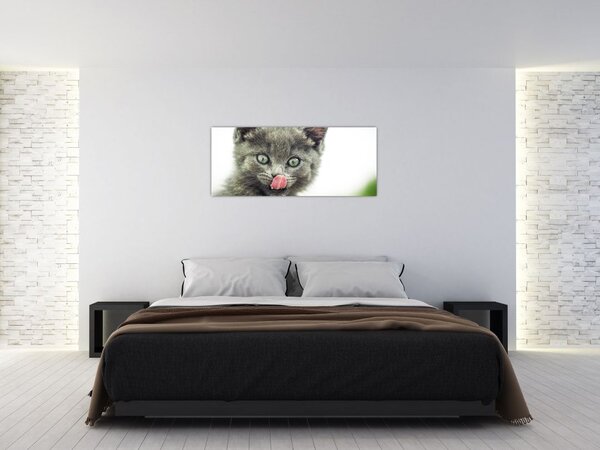 Slika mačića koji se liže (120x50 cm)
