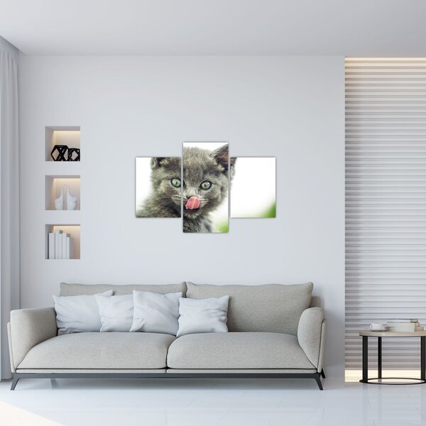 Slika mačića koji se liže (90x60 cm)