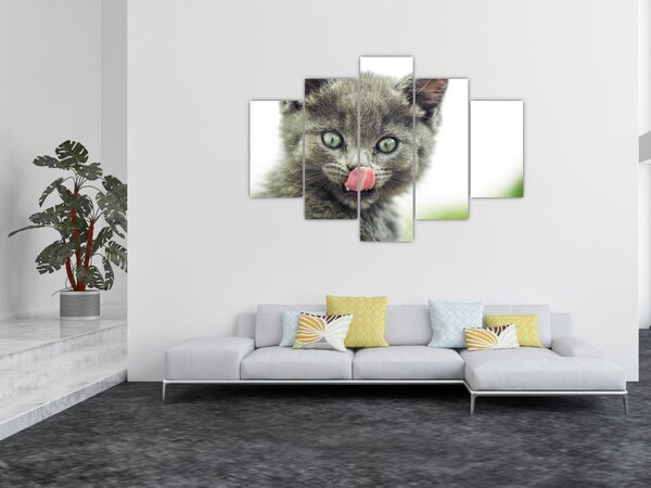 Slika mačića koji se liže (150x105 cm)