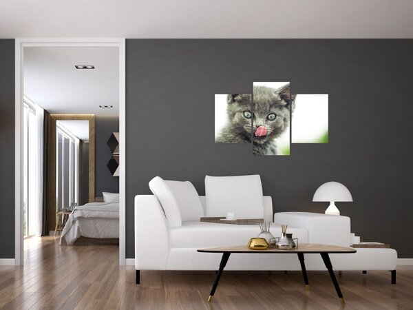 Slika mačića koji se liže (90x60 cm)