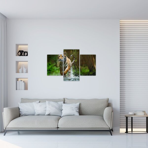 Slika tigra koji trči (90x60 cm)