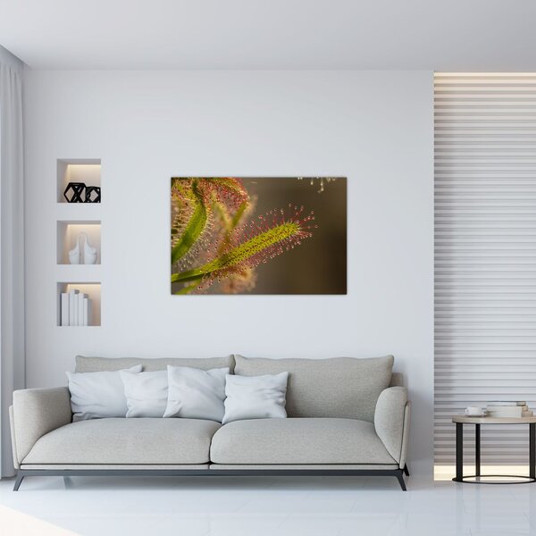 Slika biljke (90x60 cm)