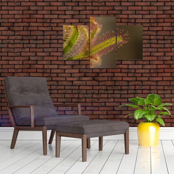 Slika biljke (90x60 cm)