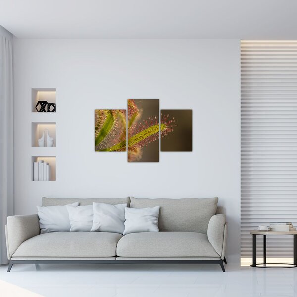 Slika biljke (90x60 cm)