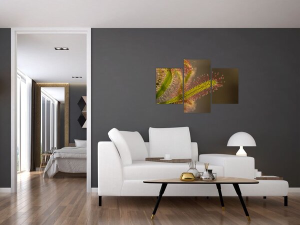 Slika biljke (90x60 cm)