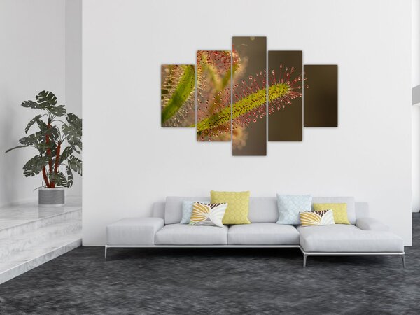 Slika biljke (150x105 cm)