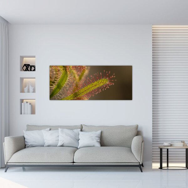 Slika biljke (120x50 cm)
