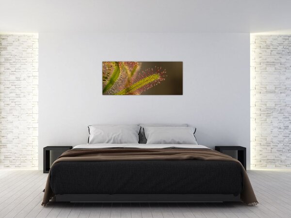 Slika biljke (120x50 cm)