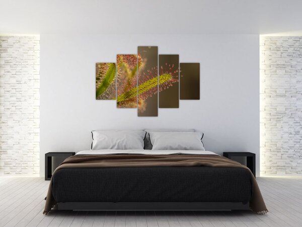 Slika biljke (150x105 cm)