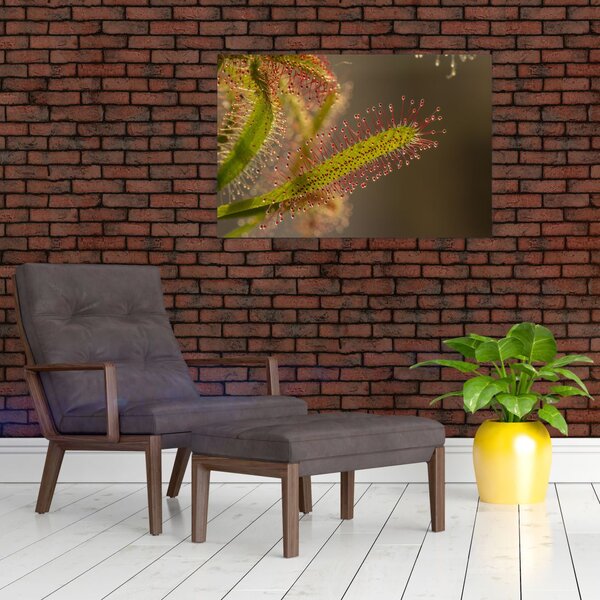 Slika biljke (90x60 cm)