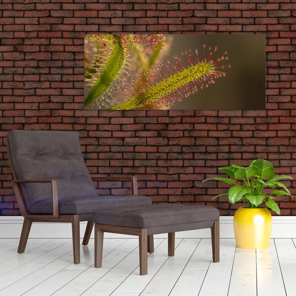 Slika biljke (120x50 cm)
