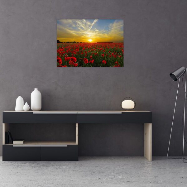 Slika polja maka (70x50 cm)