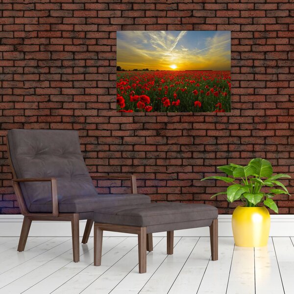 Slika polja maka (70x50 cm)