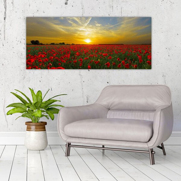 Slika polja maka (120x50 cm)