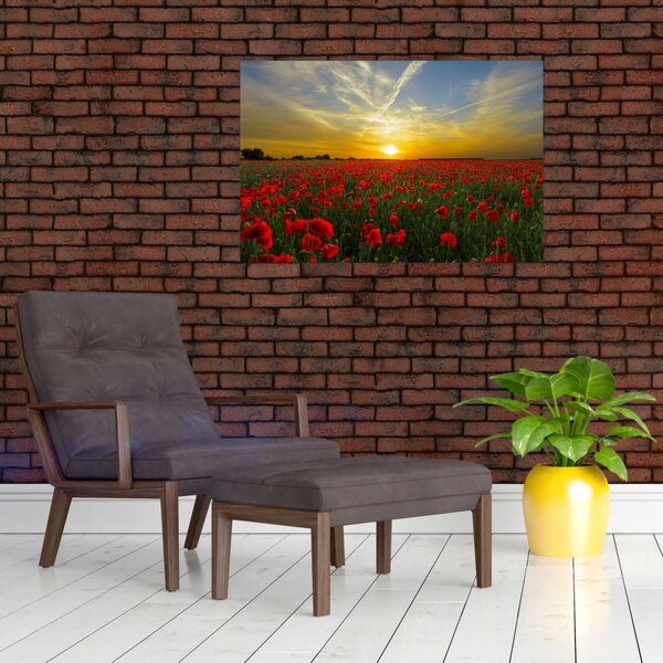 Slika polja maka (90x60 cm)
