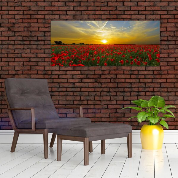 Slika polja maka (120x50 cm)