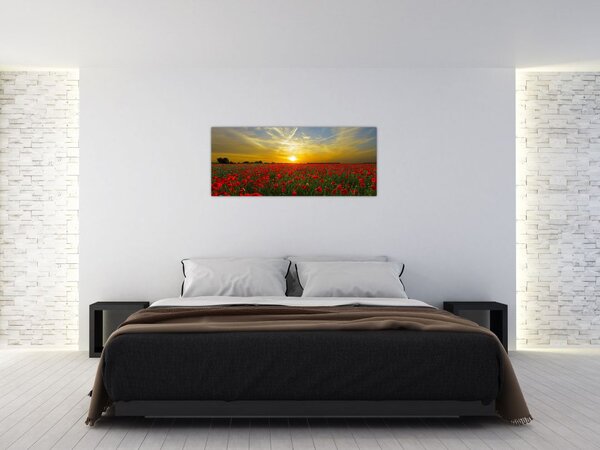 Slika polja maka (120x50 cm)