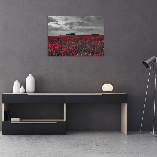 Slika makova (70x50 cm)