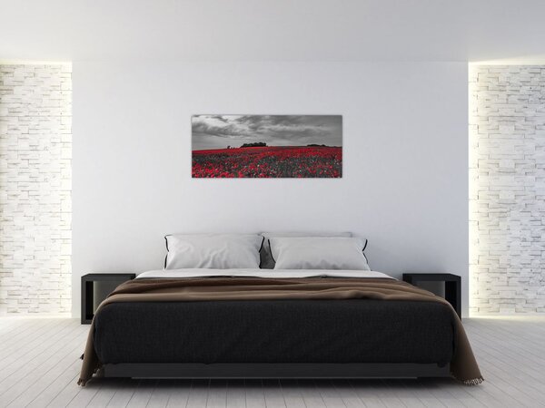 Slika makova (120x50 cm)