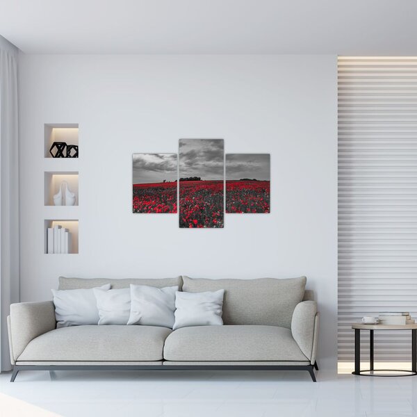 Slika makova (90x60 cm)