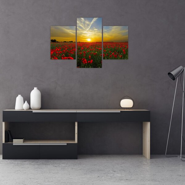 Slika polja maka (90x60 cm)