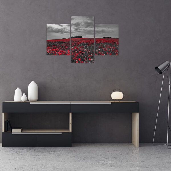 Slika makova (90x60 cm)