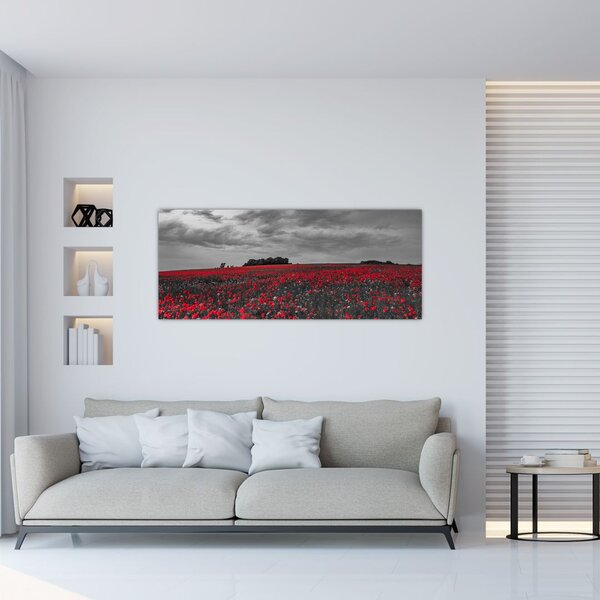Slika makova (120x50 cm)