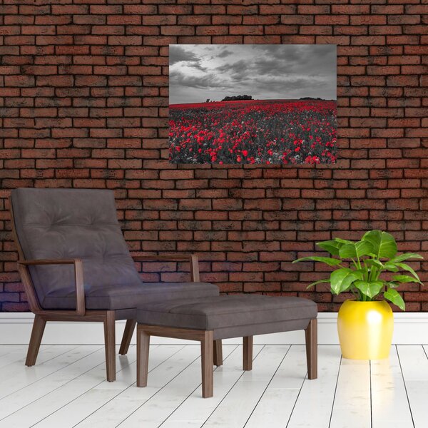 Slika makova (70x50 cm)