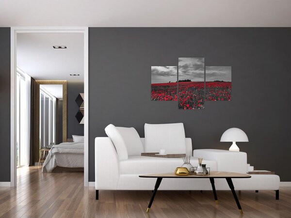 Slika makova (90x60 cm)